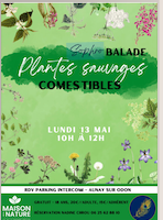 Balade sophro et découverte des plantes sauvages comestibles avec Nadine Cirou à Aunay sur Odon
