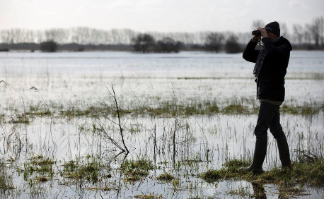 Sortie en famille : "Des Marais à découvrir" Carentan-les-Marais
