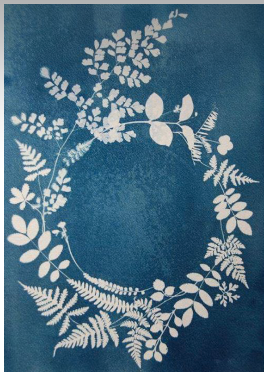Atelier de la Petite fabrique : "Mon herbier en cyanotype"