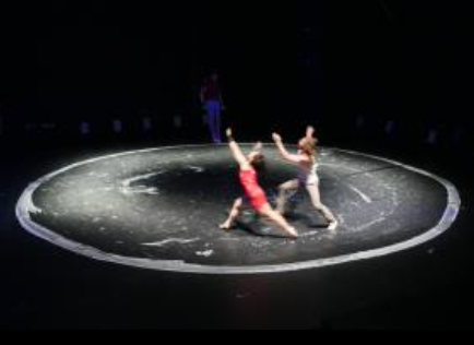 Spectacle "Animal sketching" Cie Samuel Mathieu au Cirque-théâtre d' Elbeuf
