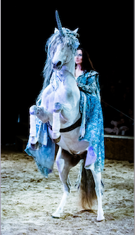Spectacle enchanté “Le Mystère du Triskell” au Haras national du Pin