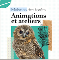 Découverte "À vos sens" à la Maison des forêts de Darnétal