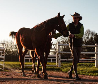 Visite Guidée du Haras d'Ecajeul et dégustation