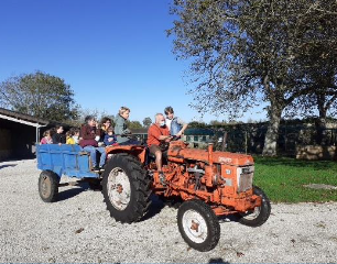 Visite et balade en tracteur à la ferme-musée du Cotentin