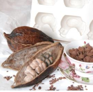 Atelier : "De la cabosse au chocolat chaud" à l’Hôtel Dubocage de Bléville