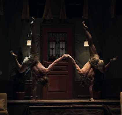 Spectacle : "La Nuit du Cerf" Cirque Le Roux au Quai des Arts