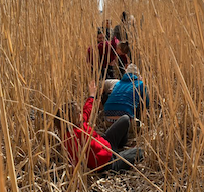 Rendez-vous nature "Vivre avec le roseau" à Sandouville