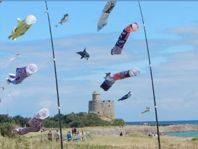 9e édition du festival « Et vole Eole » à l’île Tatihou