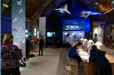 Exposition : "La galerie d'histoire naturelle" au Musée Maritime
