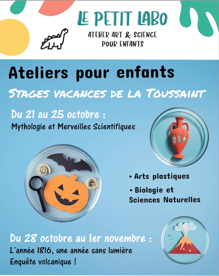 Stage Art & Sciences : "Enquête autour d'un volcan : 1816 l'année sans lumière !"
