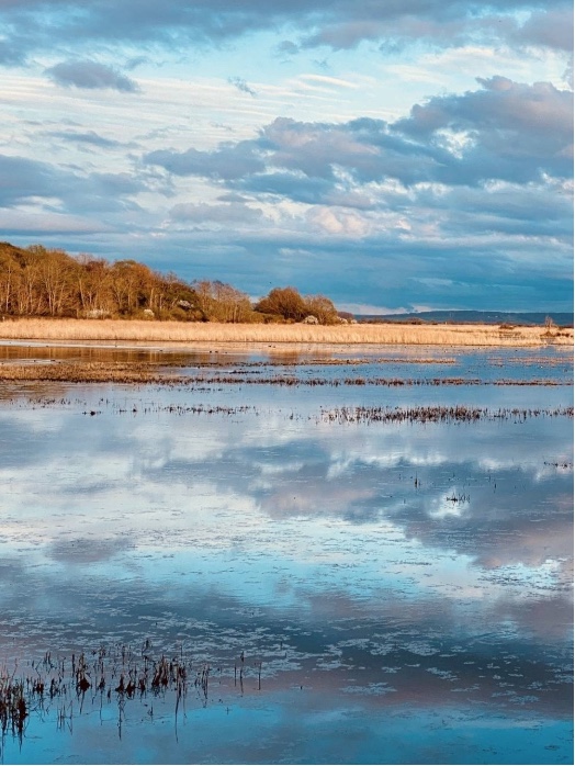 Le marais d’Amfard, Sandouville