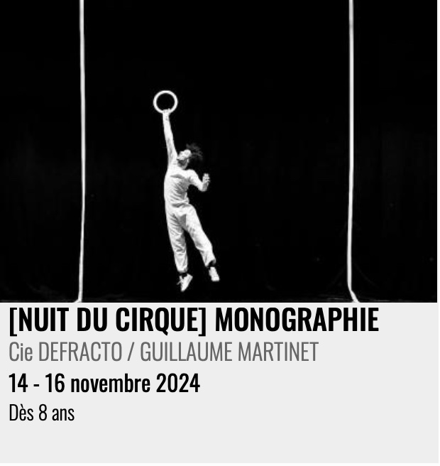 Jonglage version cartoon : "[NUIT DU CIRQUE] MONOGRAPHIE", Cie DEFRACTO / GUILLAUME MARTINET