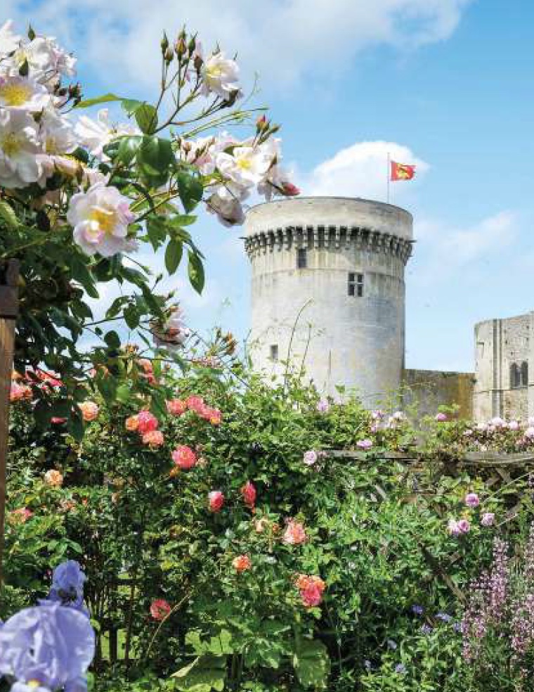 Visite en famille : "À l'attaque du Château"