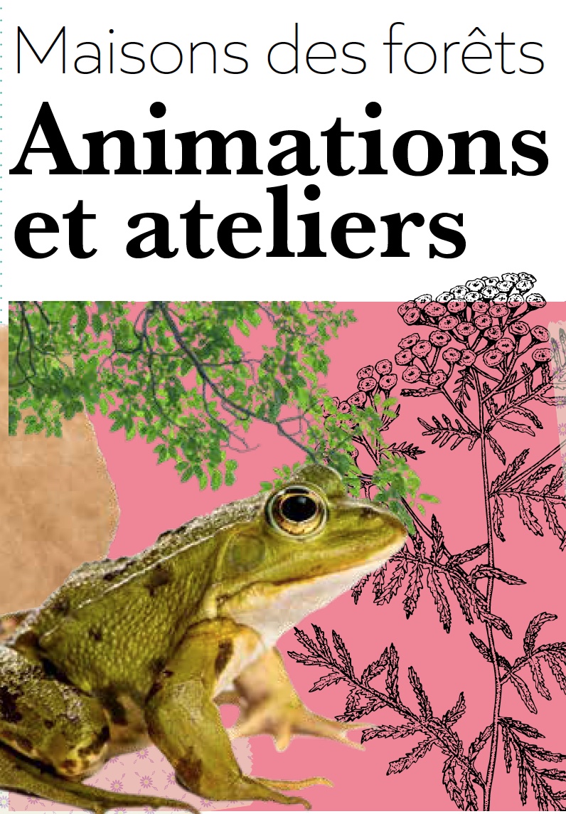 Découverte : "Petit scientifique du sol"