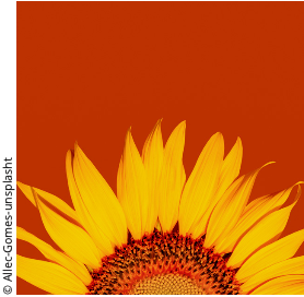 Exposition "Performances extraordinaires des plantes ordinaires" à l’Abbaye Saint-Georges-de-Boscherville