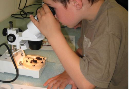 Atelier scientifiques à l'ATRIUM