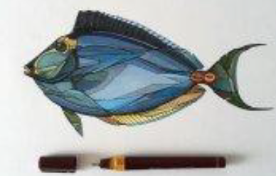 Atelier dessin avec Teuthis au Muséum d'histoire naturelle du Havre