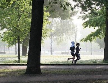 Jeudis sport : "Zumba" avec SF Fitness au parc du château de Flers