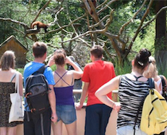 Visite : "A Quoi Ça Sert Un Zoo ?" au Parc de Clères