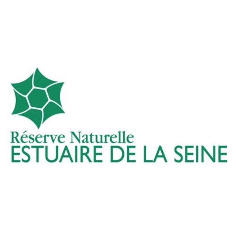 Le marais d’Amfard, Sandouville
