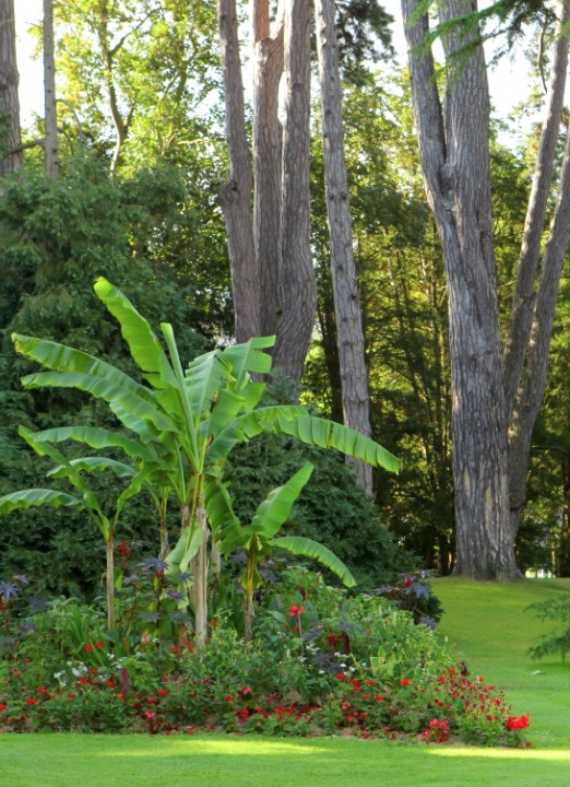 Jardin Botanique de Bayeux