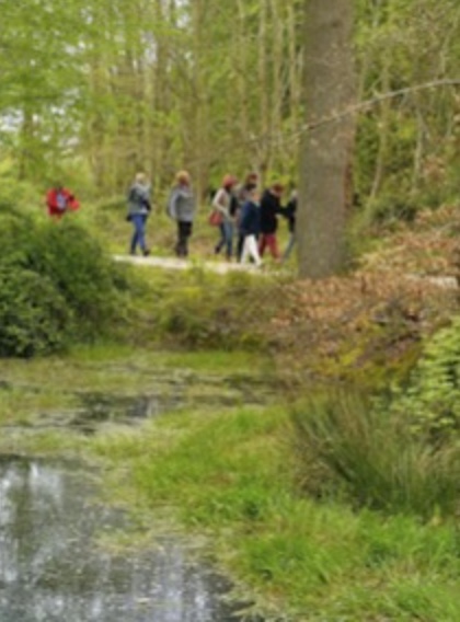 Maison des Forêts d'Orival