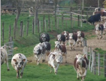 Ferme de Sainte-Yvière