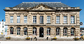 Atelier dessin avec Teuthis au Muséum d'histoire naturelle du Havre
