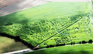 Labyrinthe de Honfleur.jpg