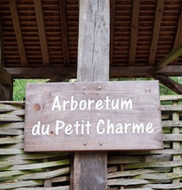 Arboretum à visiter en famille, Arboretum du Petit charme, Canteleu, Seine Maritime, Normandie